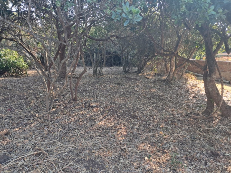Commercial Property for Sale in Bergsig Western Cape